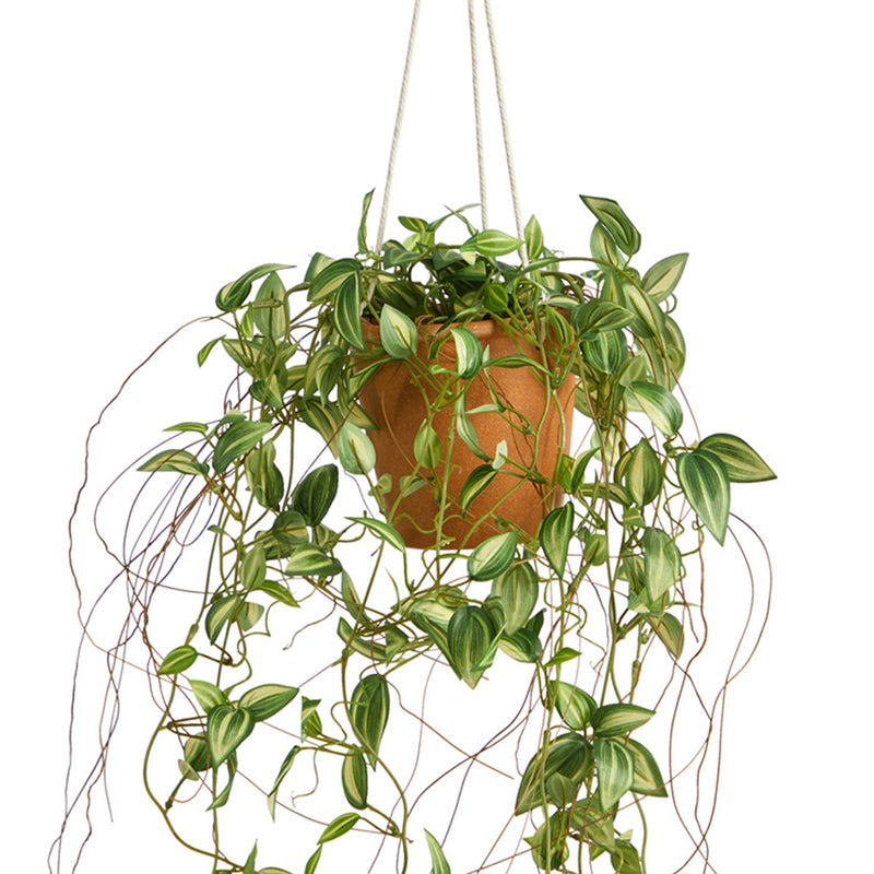 24” Pothos Artificial Plant in Hanging Planter by Nearly Natural