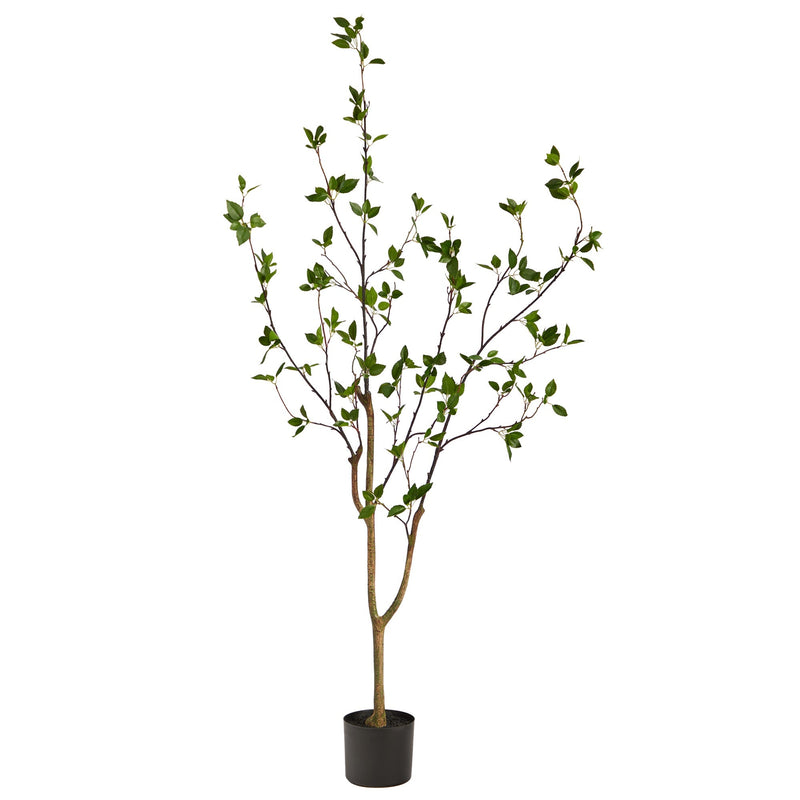 5’ Minimalist Citrus Artificial Tree by Nearly Natural