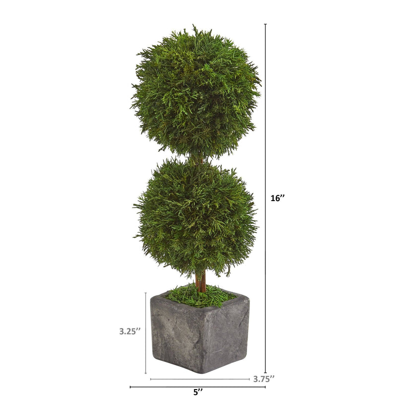 16” Cypress Double Ball Preserved Plant in Decorative Planter by Nearly Natural